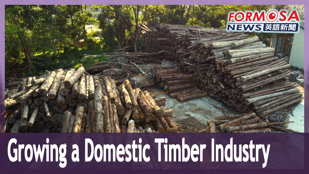 Forest researchers discuss efforts to promote Taiwan’s timber industry