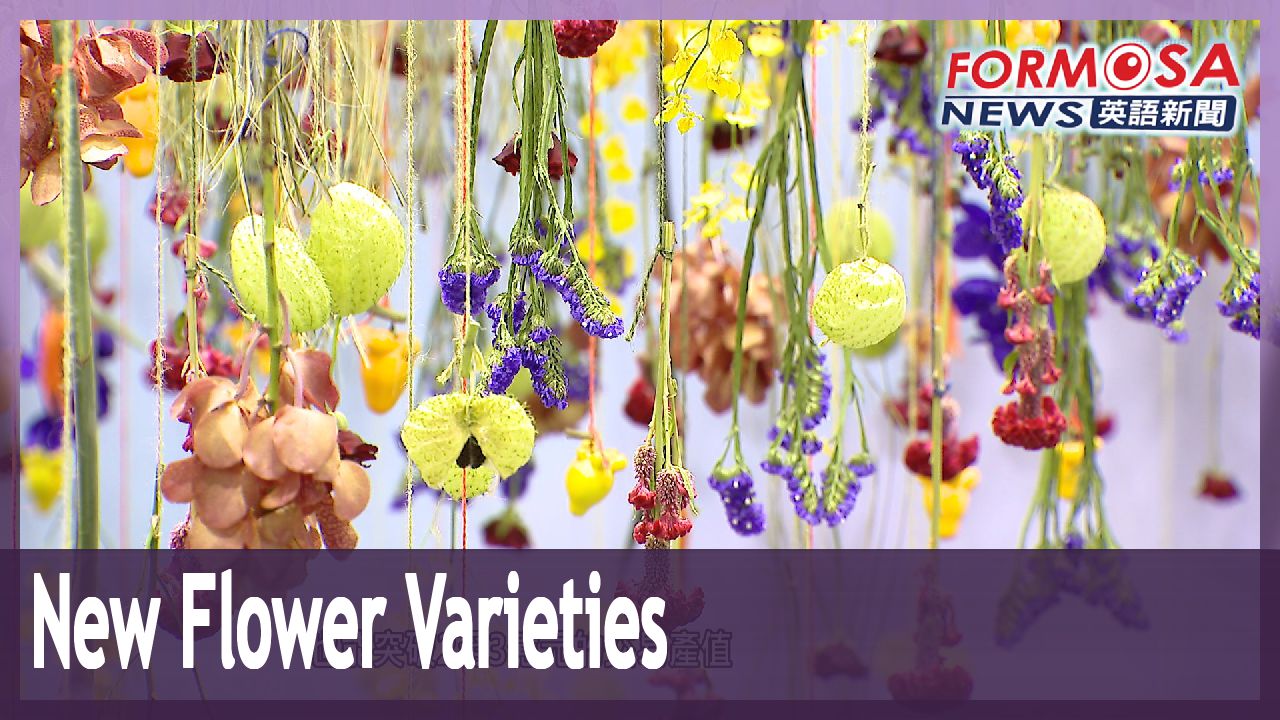 Dazzling new flower varieties on show at Taiwan Flora Variety Promotion Show Formosa News