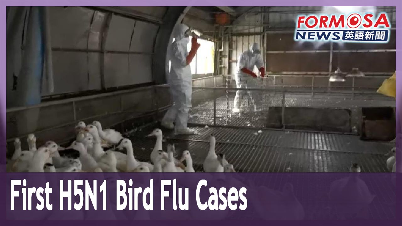 More than 5,000 ducks culled at Yilan farm after authorities confirm