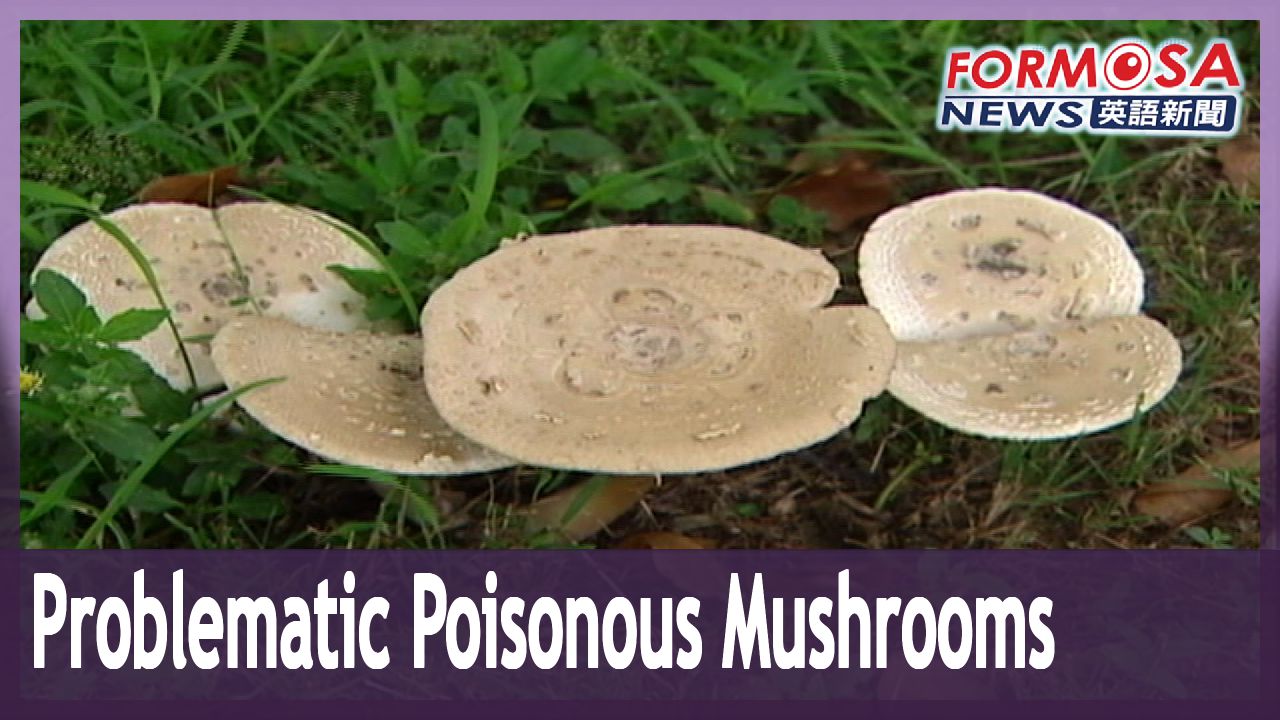 family-of-six-accidentally-get-food-poisoning-from-poisonous-mushrooms