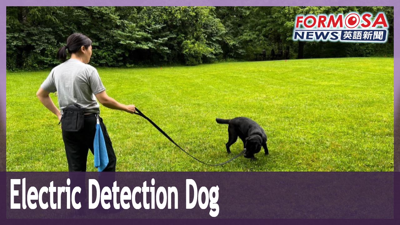 Wafer is Taiwan’s first electronics detection dog Formosa News