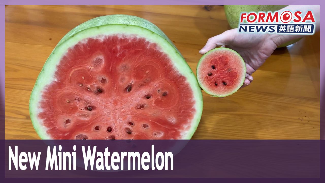 New “miniball” watermelon variety is small enough to fit in your hand