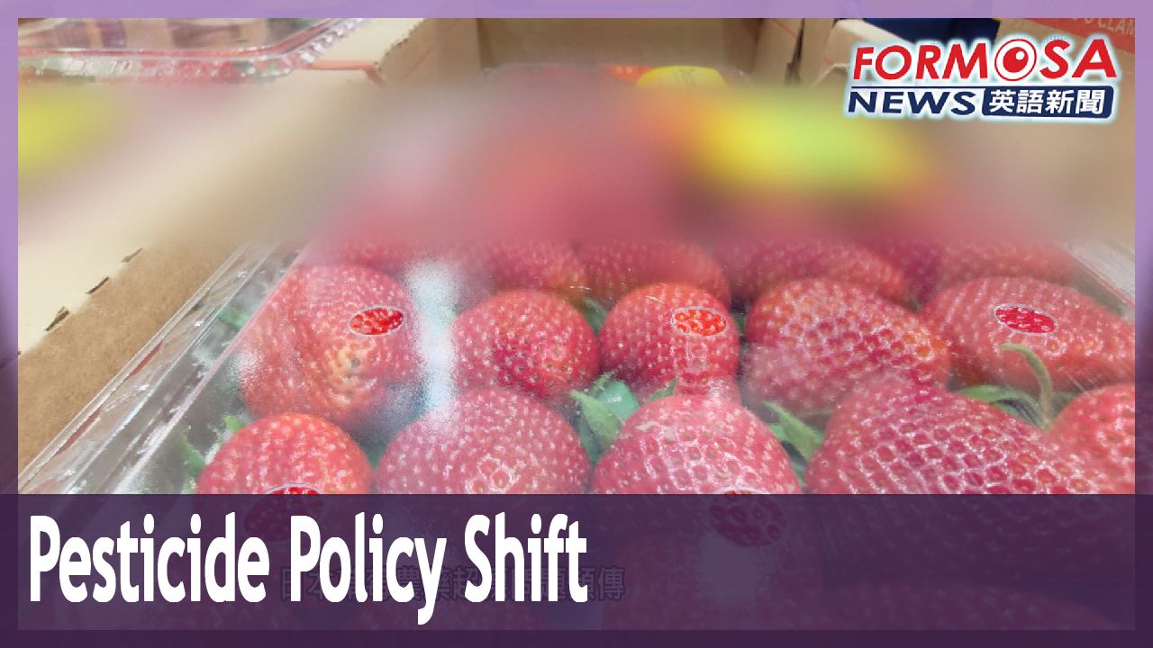 FDA mulls lifting pesticide ban for Japanese strawberries Formosa News