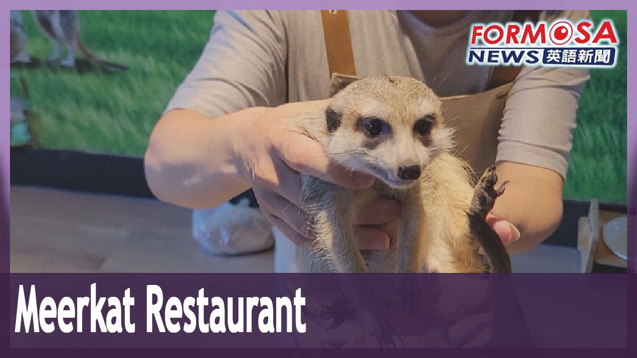 Meerkat restaurant in Keelung gives humans and pets a chance to dine