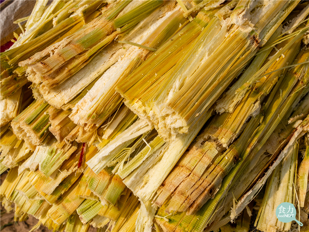 萃取食用油不再只能用化學藥品！歐盟批准甘蔗渣副產品成為新選擇