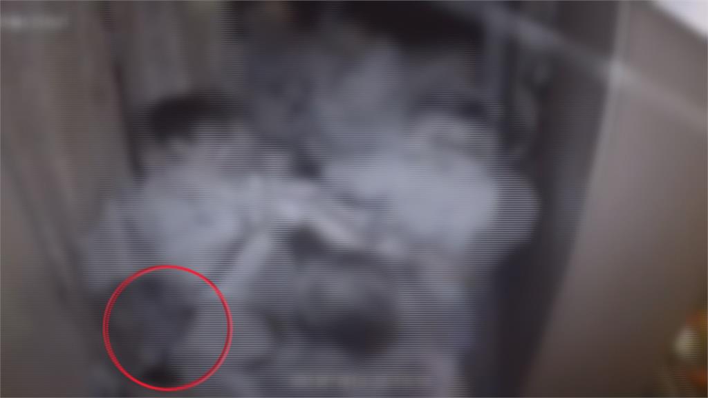 非婚家庭爭小孩 父母兩家聚眾談判釀鬥毆