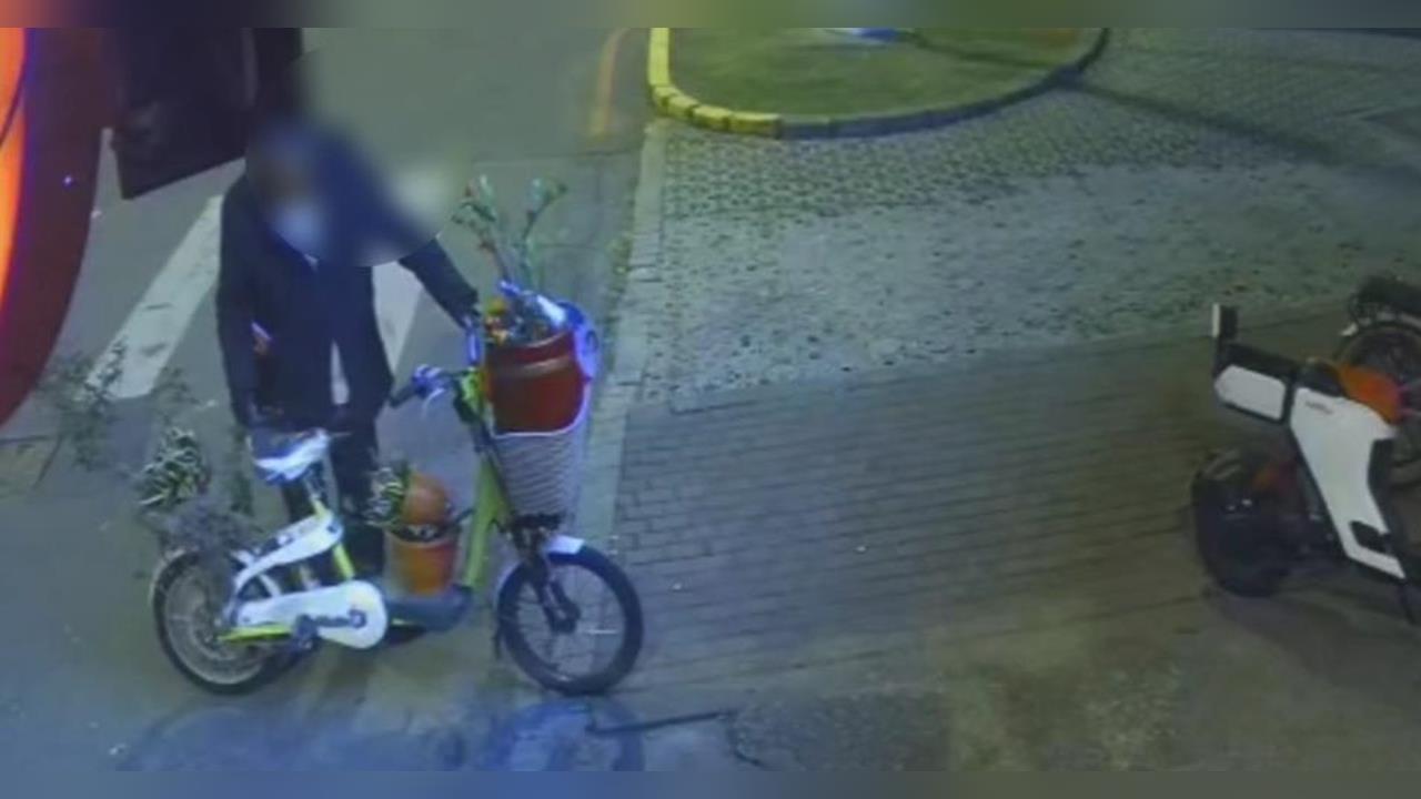 以為在玩皮克敏？ //花蓮男沿路偷盆栽亂丟