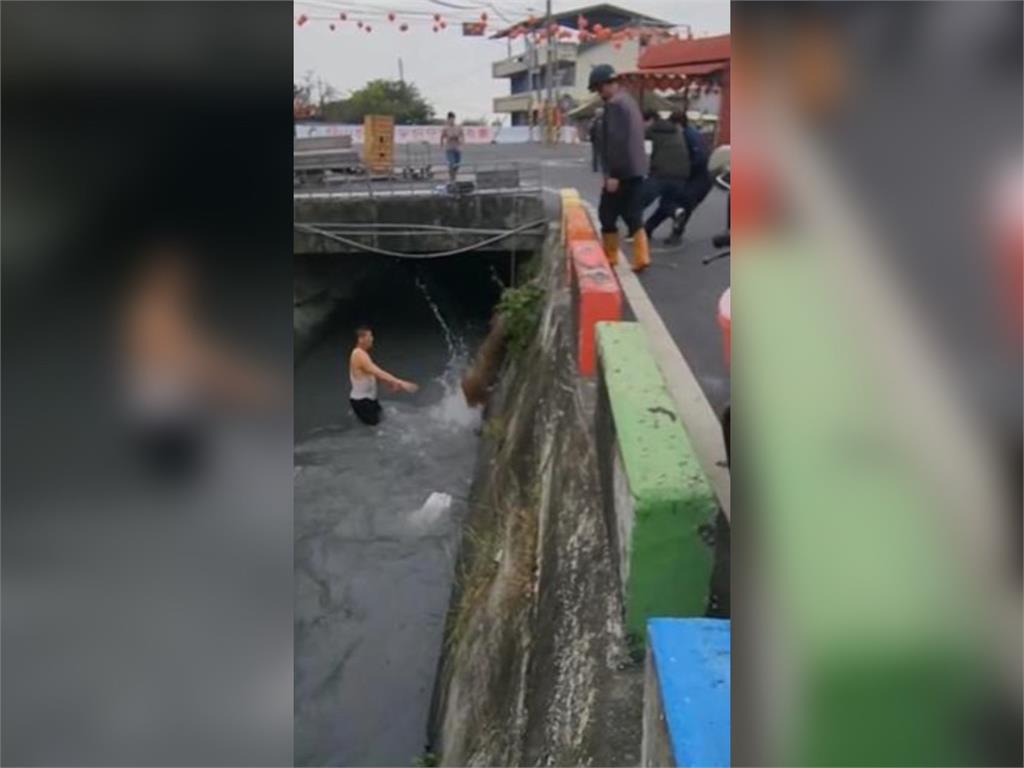 快新聞／大年初三「見鹿行大運」？　彰化2頭水鹿落入圳溝畫面曝光