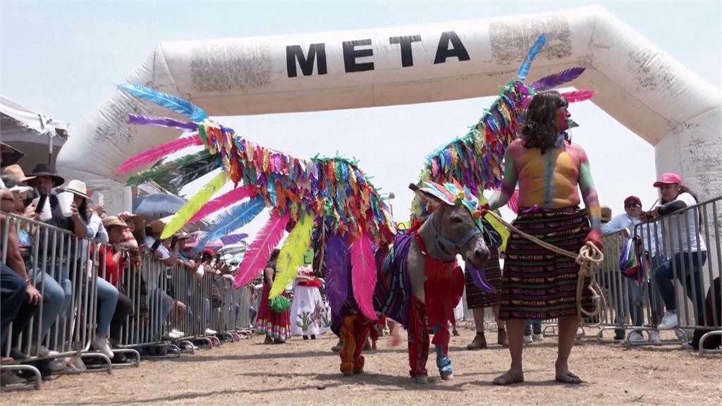 勤奮工作第一名　墨西哥「驢子化妝遊行」慶祝勞動節
