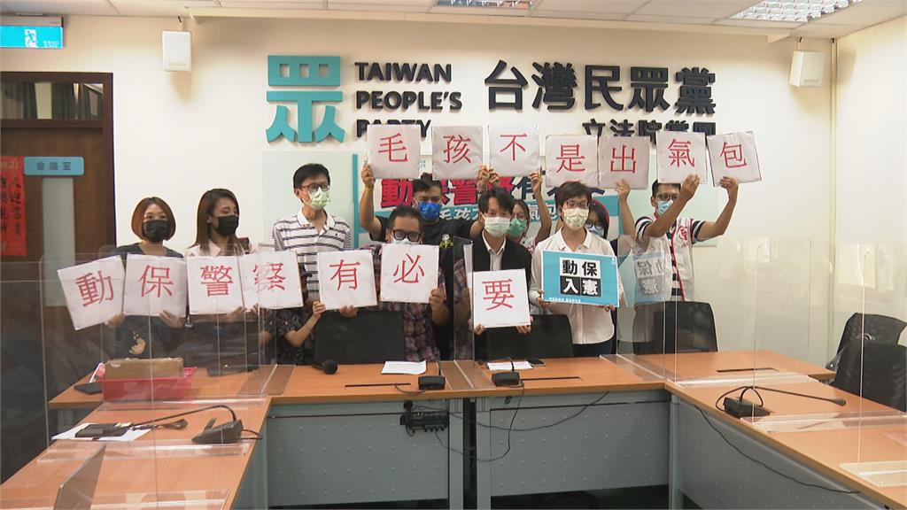 蘆洲惡男沸水燙貓　民眾黨、動保團體疾呼「設動物警察」