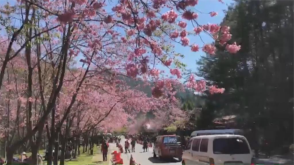 登記山屋不來住　雪霸管理處祭停權處分