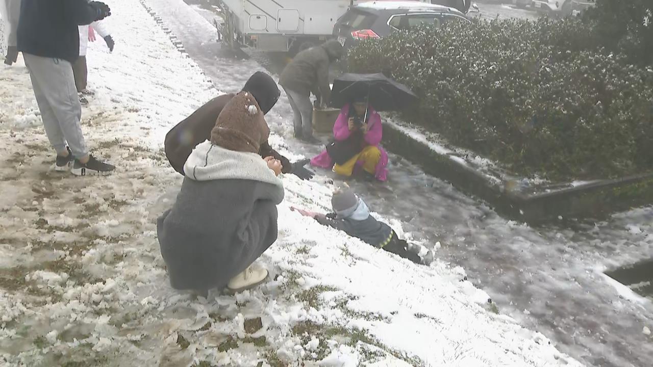 快新聞／山雪欲來？強烈寒流將至　公路局山區交管資訊看這裡