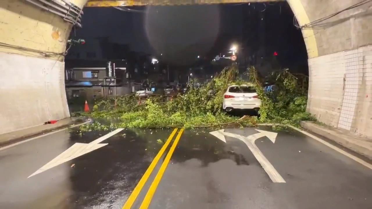 基隆光華隧道驚魂夜！　5公尺大樹滑落邊坡砸車　駕駛嚇壞