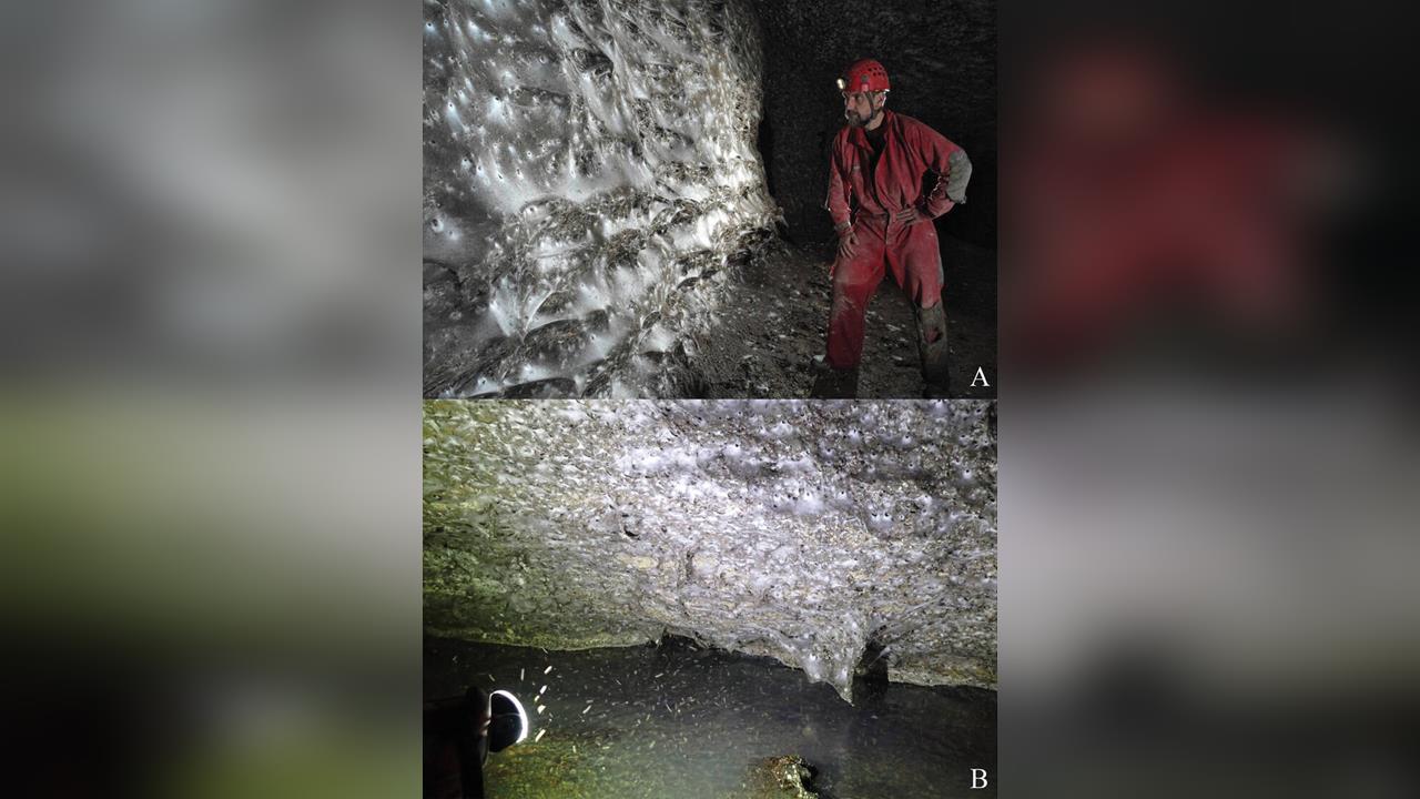 快新聞/毛骨悚然!科學家發現「全球最大蜘蛛網」 竟藏11.1萬隻