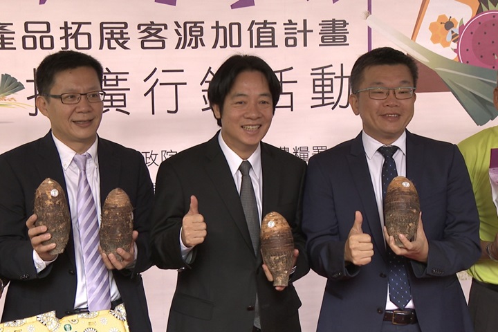 賴清德也愛！當季大甲芋頭口感軟Q