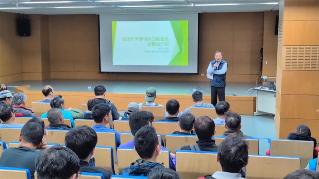 消滅外來種綠鬣蜥大作戰！　屏東縣府開「這課程」5分鐘搶光