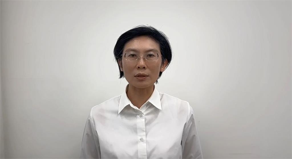 快新聞/823投票後重整旗鼓 林岱樺:民進黨何時檢討就何時站起來