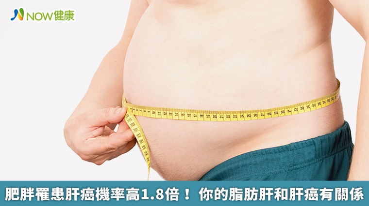 肥胖罹患肝癌機率高1.8倍！你的脂肪肝和肝癌有關係