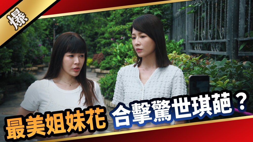 《愛的榮耀-EP163精采片段》最美姐妹花  合擊驚世琪葩？