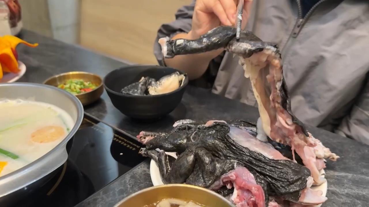 「青蛙吃到飽」掀話題！　每日限抓超新鮮　挑戰民眾味蕾