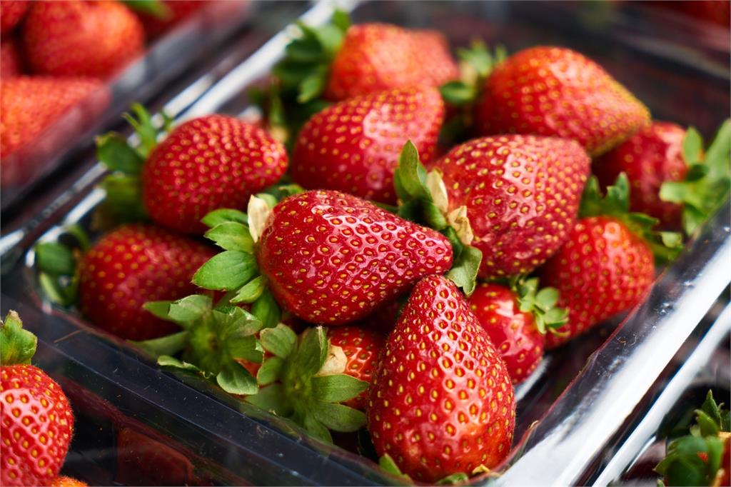 「草莓族」一點也不弱！營養師曝超高營養價值：10顆補足1日維生素C