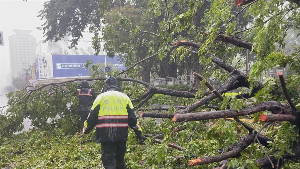 高雄、台南上千處路樹遭吹斷　民宅、招牌被砸中