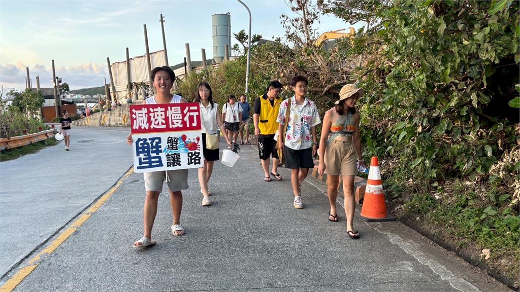 綠島陸蟹繁殖季到! 保育人士發起「護蟹行動」防路殺