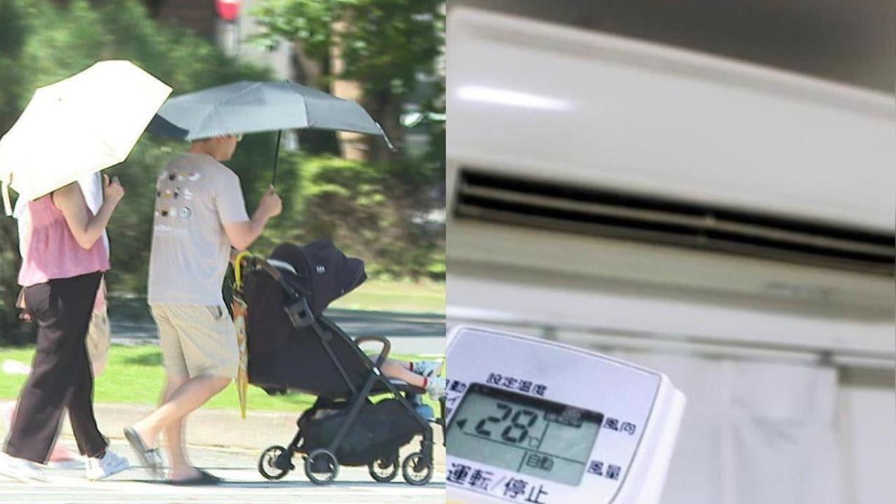 門窗封死仍狂冒太崩潰！專家揭「冷氣噴出蟑螂」2超恐原因：不是都市傳說