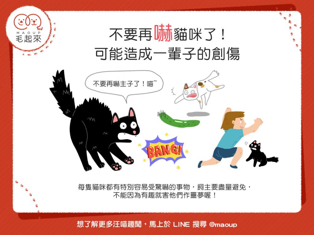 【做個好貓奴】嚇貓好好玩？這麼做可能造成貓貓一輩子的創傷！