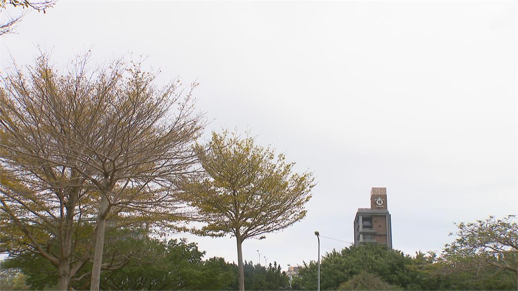 週日東半部有局部雨　週一低溫可能探12度