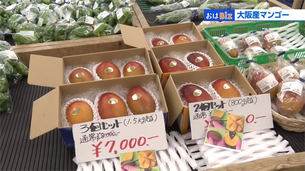 日本也開始產芒果！大阪三顆要價1700台幣