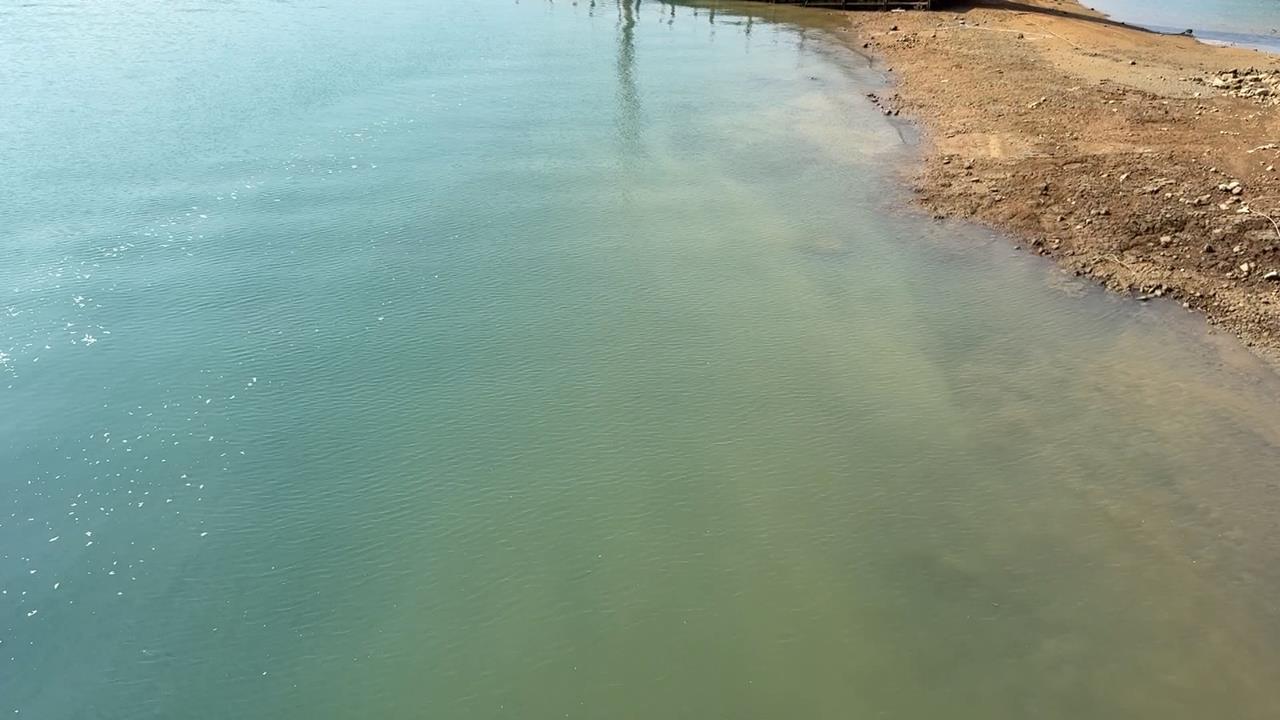 日月潭驚現「陰陽海」！？　湖面染色竟是這個原因...