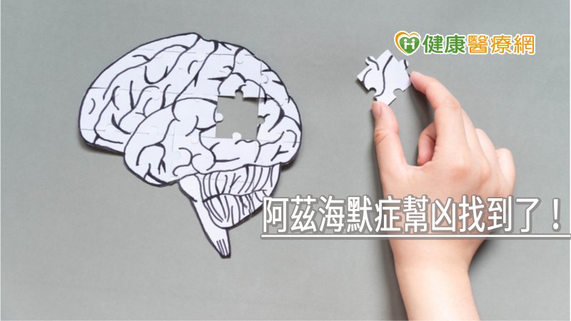 阿茲海默症幫凶找到了！　中研院首度揪出關鍵