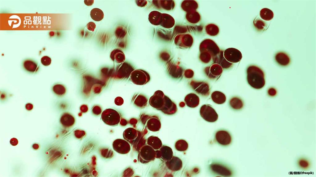 驚！血便竟藏致命危機　醫師3招秒辨痔瘡與大腸癌