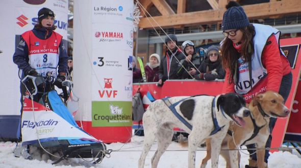 400公里長征！法國雪橇犬大賽橫跨阿爾卑斯山