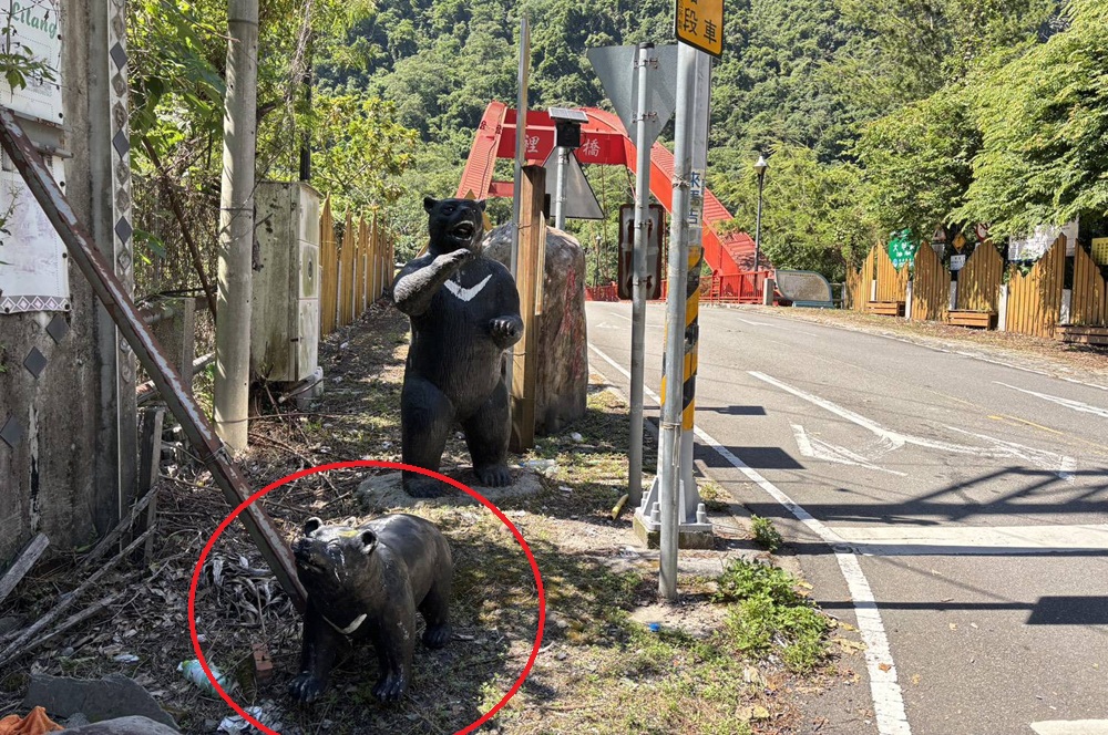 台灣小黑熊不見了　竊賊落網：喜歡黑熊所以一時興起......