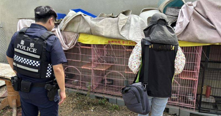 台南餐廳疑虐貓！籠內3貓「只剩白骨」　飼主稱「自然死亡」