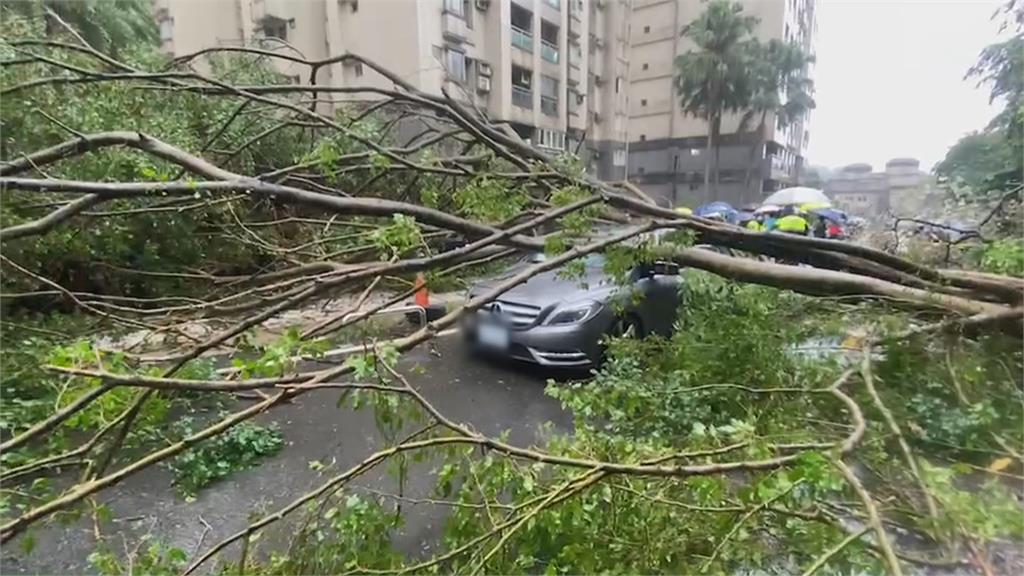 基隆安樂區邊坡土石滑落　大樹砸車女駕駛驚魂