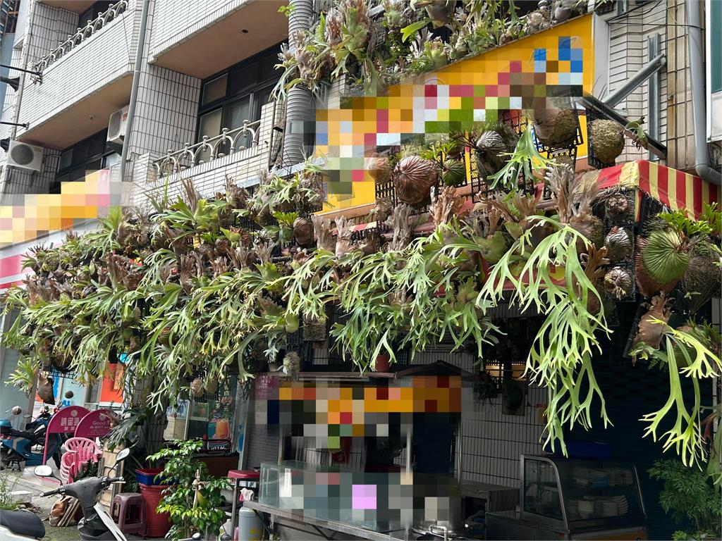 小吃店屋簷種滿整面草！他一看嚇壞喊「有錢人」內行全笑了：超級炫富