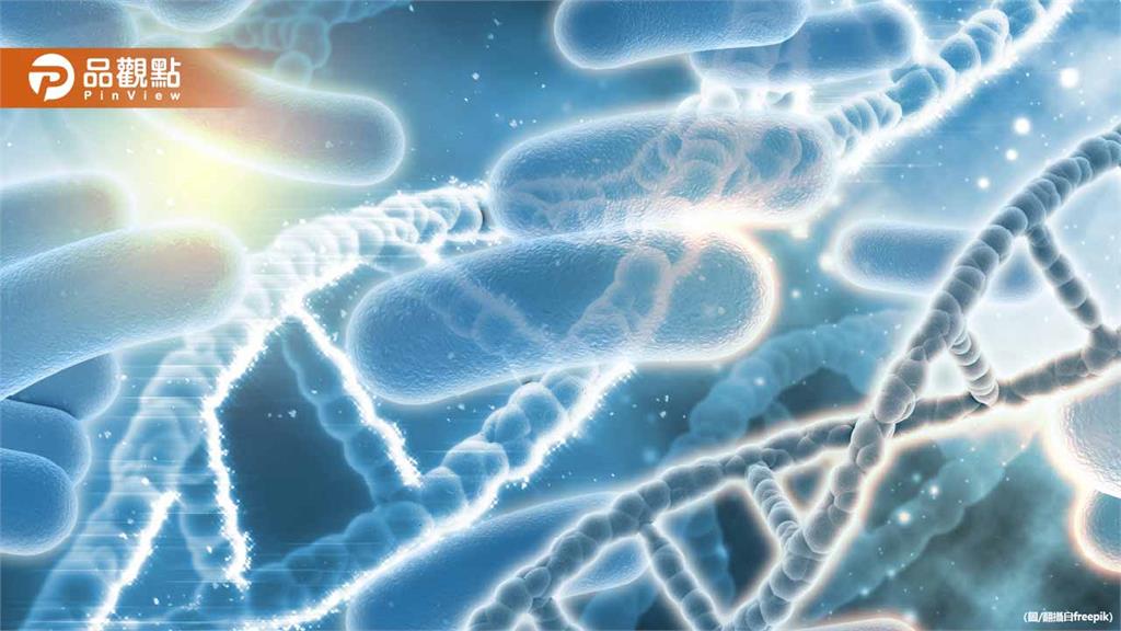 「隱形胃殺手」過半台人中鏢卻不知！醫示警恐釀癌：4類人快檢查