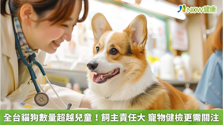 全台貓狗數量超越兒童！飼主責任大　寵物健檢更需關注