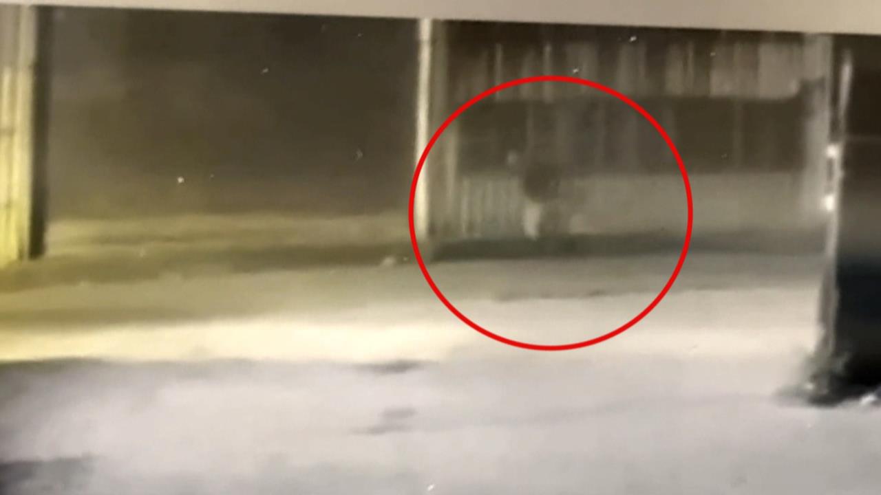 蘆竹埔心溪驚見男浮屍　兒因病過世父丟溪中棄屍