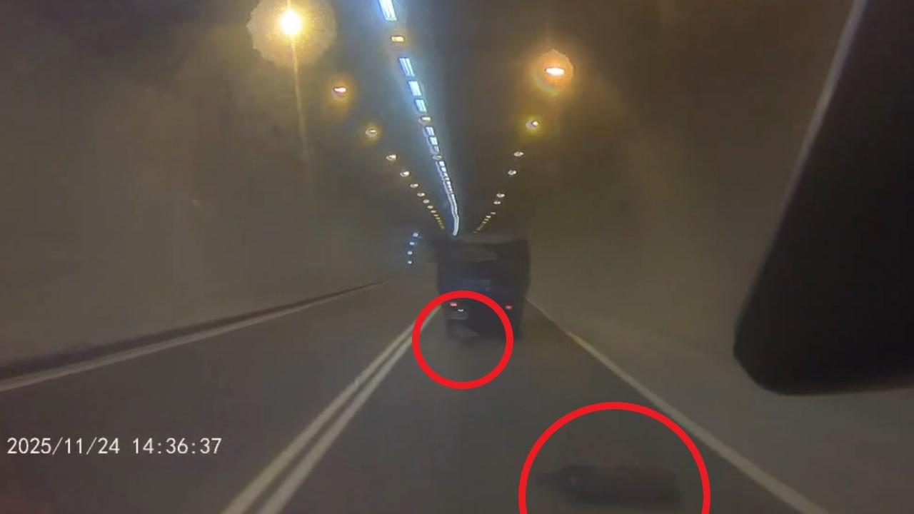 快新聞／「豬」事不順？新北觀音山隧道「三隻小豬跳車」　飼主慘吞9千元罰單