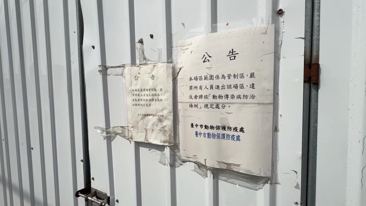 台中非洲豬瘟案起訴 87歲豬農父喊冤:要把我關到死嗎?