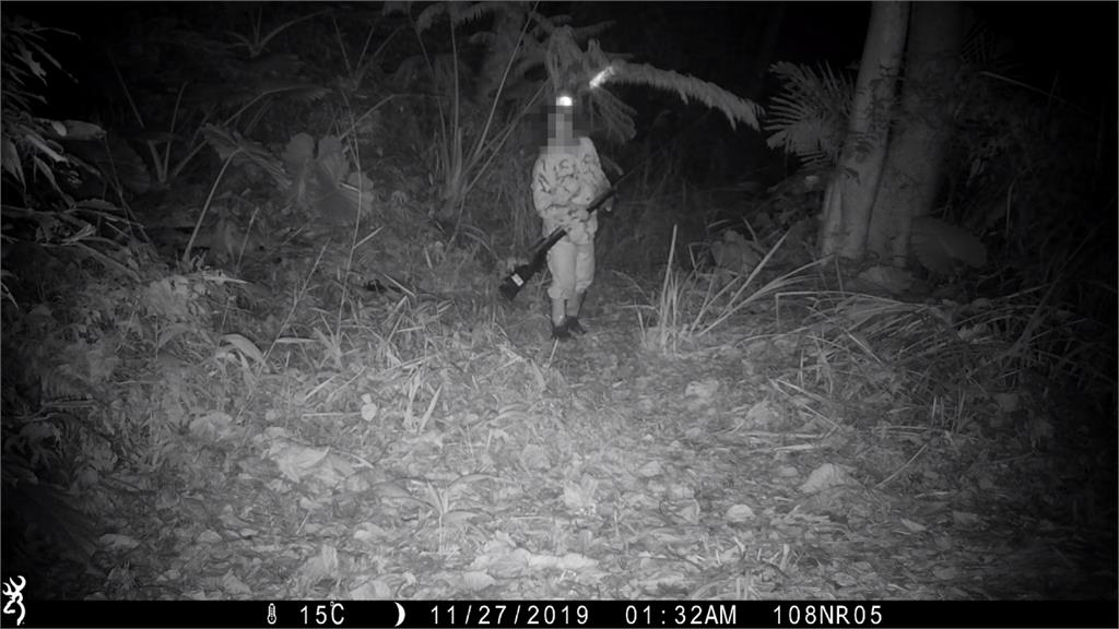 「山貓森林」保育石虎 驚傳獵人持槍狩獵