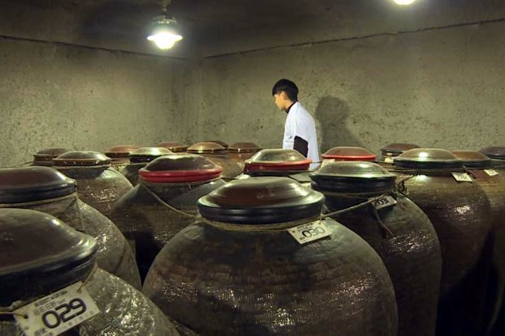 5年前強震損百萬 信義鄉酒莊創防震雙寶