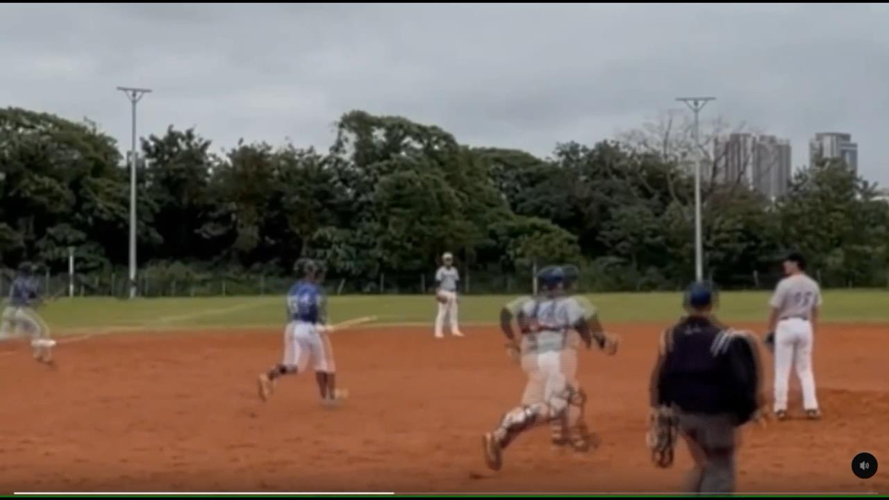 打棒球遭流浪狗追咬！左小腿現咬痕...　紡織界張孝全：老弱婦孺怎麼辦？