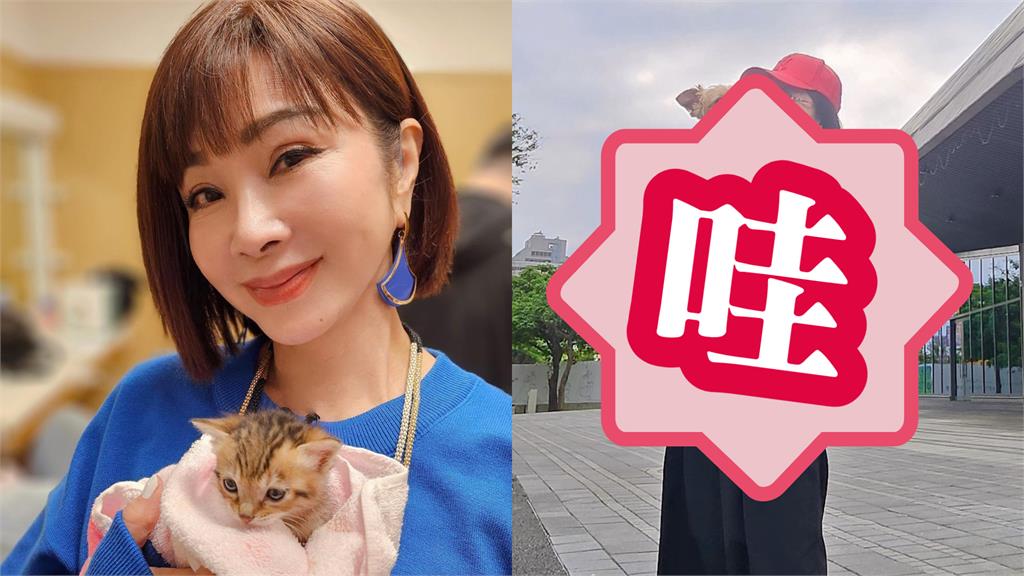 陳美鳳嗨曬「大碗好料」太震撼!超薄白T「68歲火力」網猛讚:吃飽了