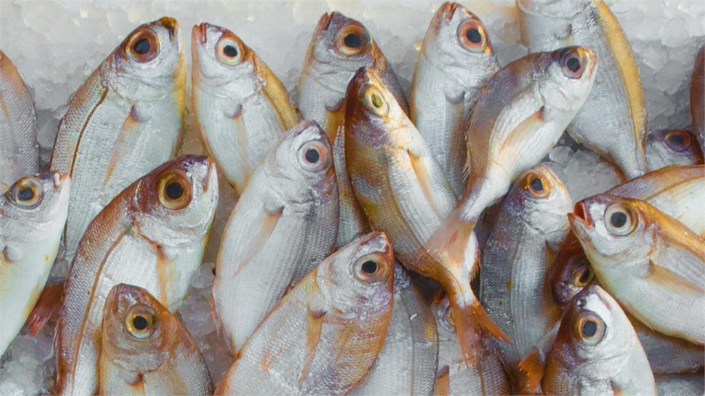 傳統市場不踩雷「挑魚術」真有？魚販親揭「3大祕訣」：別被魚騙了！