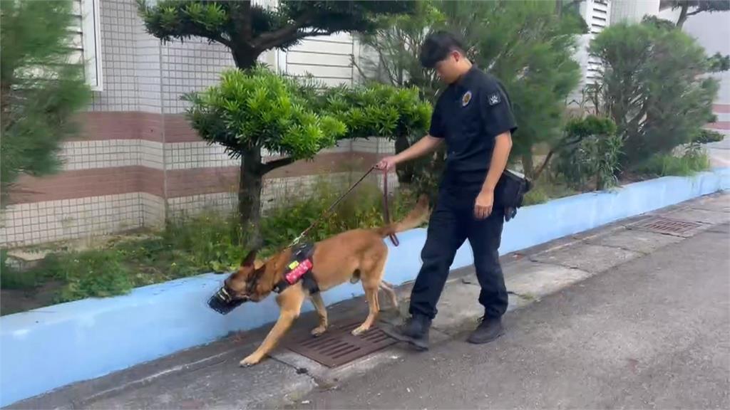 世壯運／汪汪隊出任務！　台中警犬隊派4隻偵爆犬　世壯運場地安檢